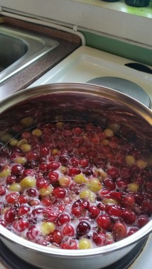 20160731_130341_1469992905402_resized