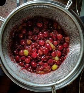 20160731_132136_1469992912781_resized (1)