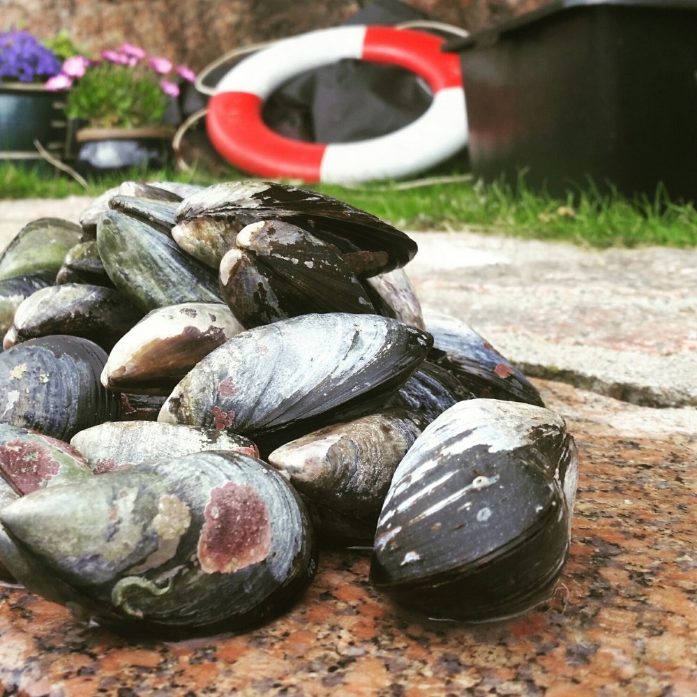 IMG_20160721_155404_resized