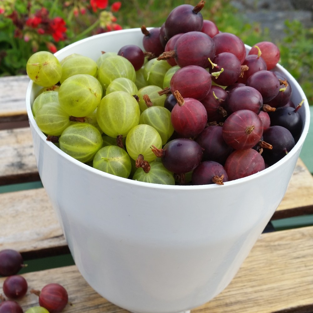 IMG_20160730_164300_1469992818443-1